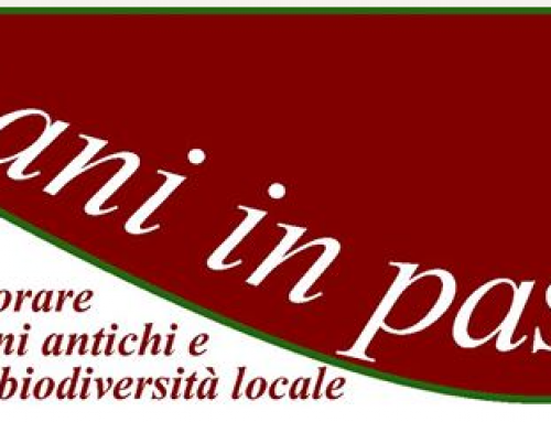 Mani in pasta – corsi di cucina